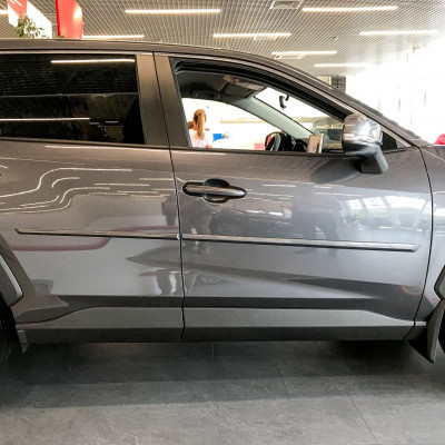 Молдинги дверей фарбовані для RAV4